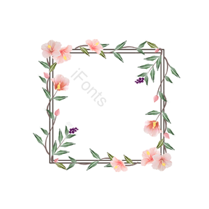 手绘 芙蓉花 植物 粉 绿叶 花草 帧 叶剪贴画