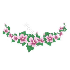 木槿花 粉色 半拱形 手绘 木槿花边框 边框 花朵