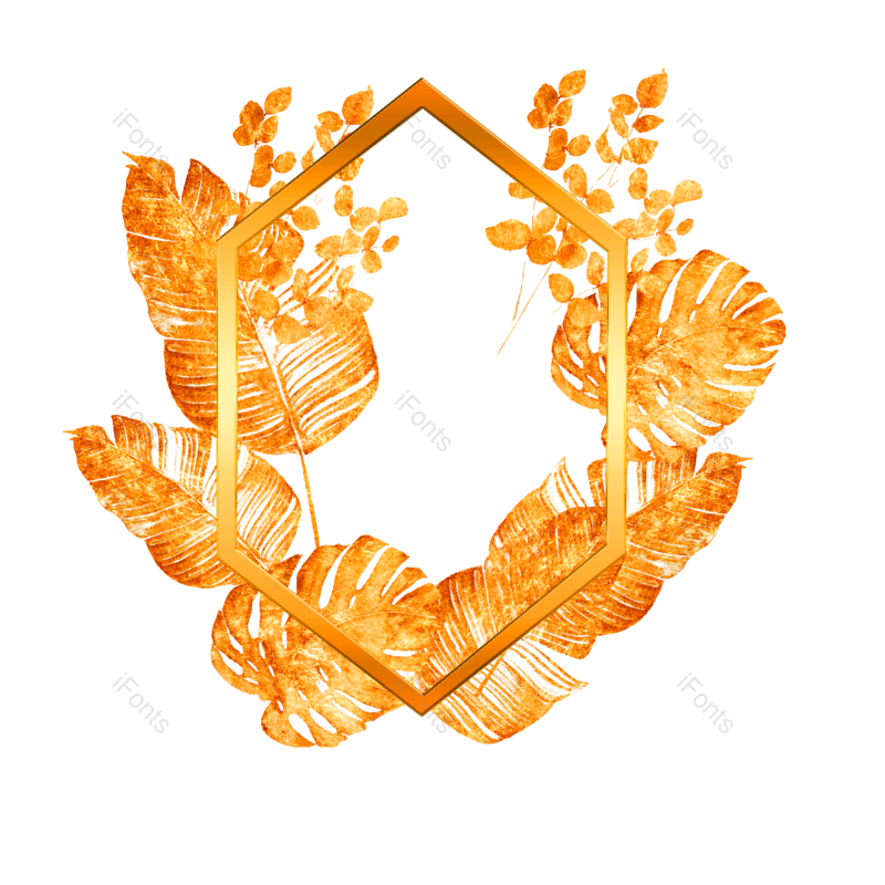 边框图片,质感元素,简约PNG,几何免抠素材