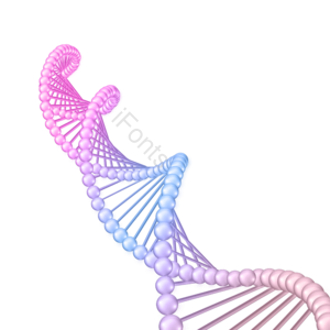 脱氧核糖核酸 分子 分子结构 护肤品 球 结构组合 美容 拧