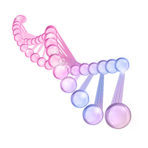 粉色 紫色 透明 链状 球体 美容 DNA分子 DNA