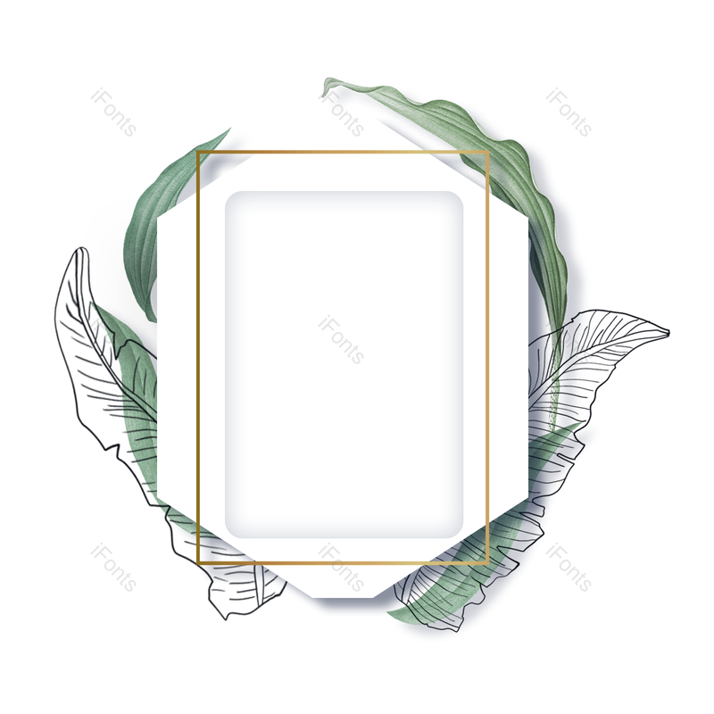 北欧图片,绿色元素,植物PNG,免抠素材