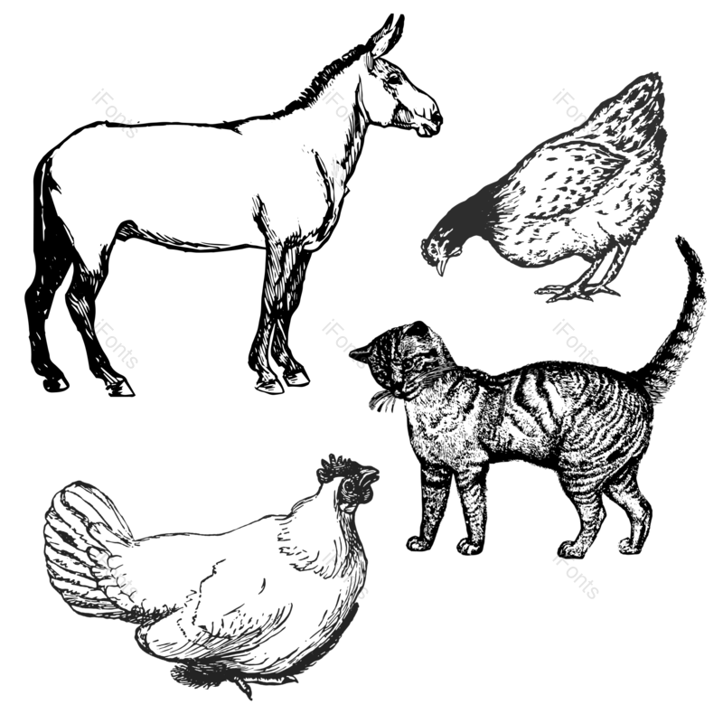 元素图片,黑白元素,菜单PNG,动物免抠素材