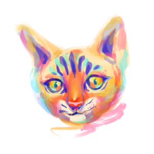 可爱 头像 彩色 手绘 插画 猫 紫色 蓝色