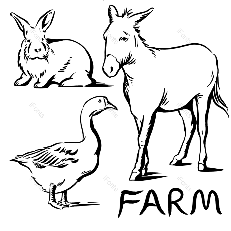 元素图片,兔子元素,插画PNG,农场免抠素材