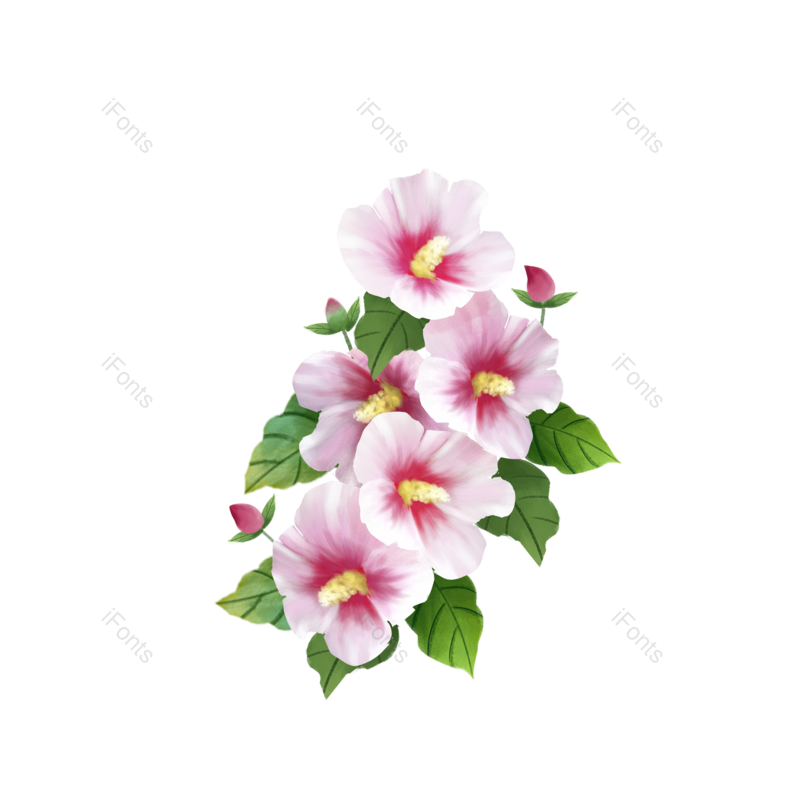绿叶图片,花卉元素,植物PNG,手绘免抠素材
