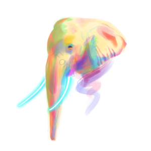 彩色 黄色 紫色 大象 头像 插画 霓虹 可爱