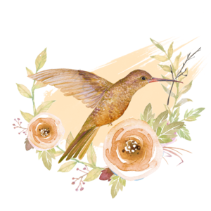 鸟 花卉 可爱 手绘 卡通 插画 动物 元素