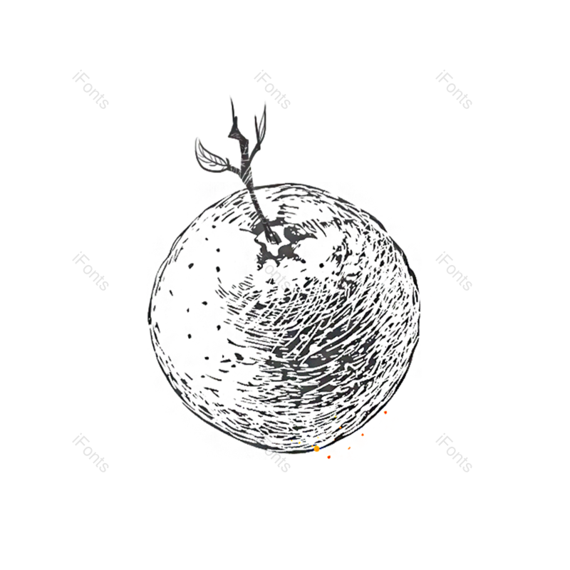 叶子图片,水果元素,黑色PNG,橙子免抠素材