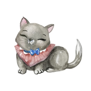 猫 领结 灰色 手绘 动物 插画 卡通 可爱