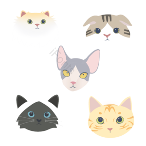 猫 狗 动物 元素 水彩 清新 插画 卡通