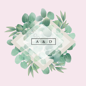 手绘竽 桉树叶 婚礼 文框 苍白 植物 绿色 文本框