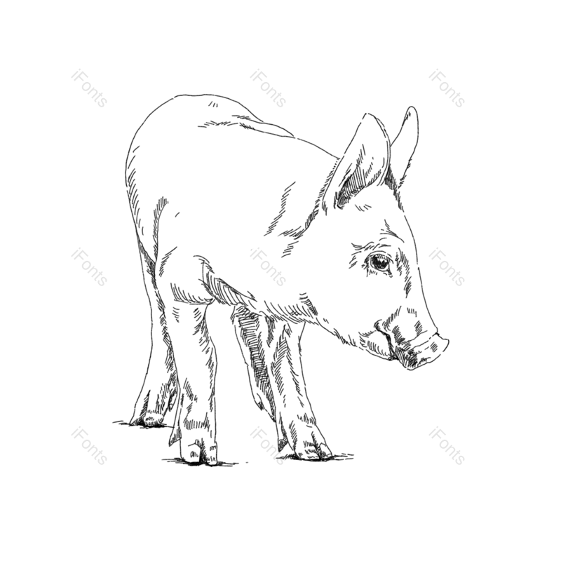 元素图片,黑色元素,动物PNG,线描免抠素材