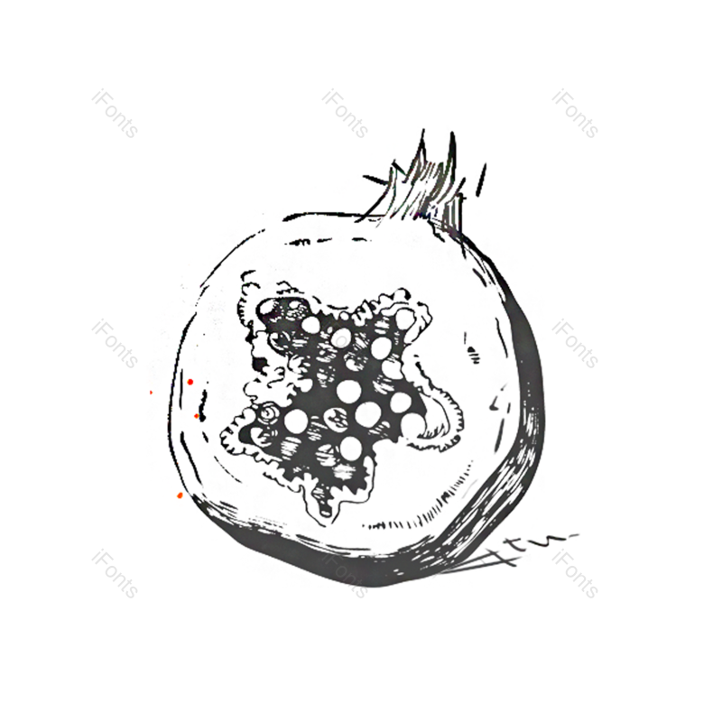 水果图片,白色元素,黑色PNG,食品免抠素材