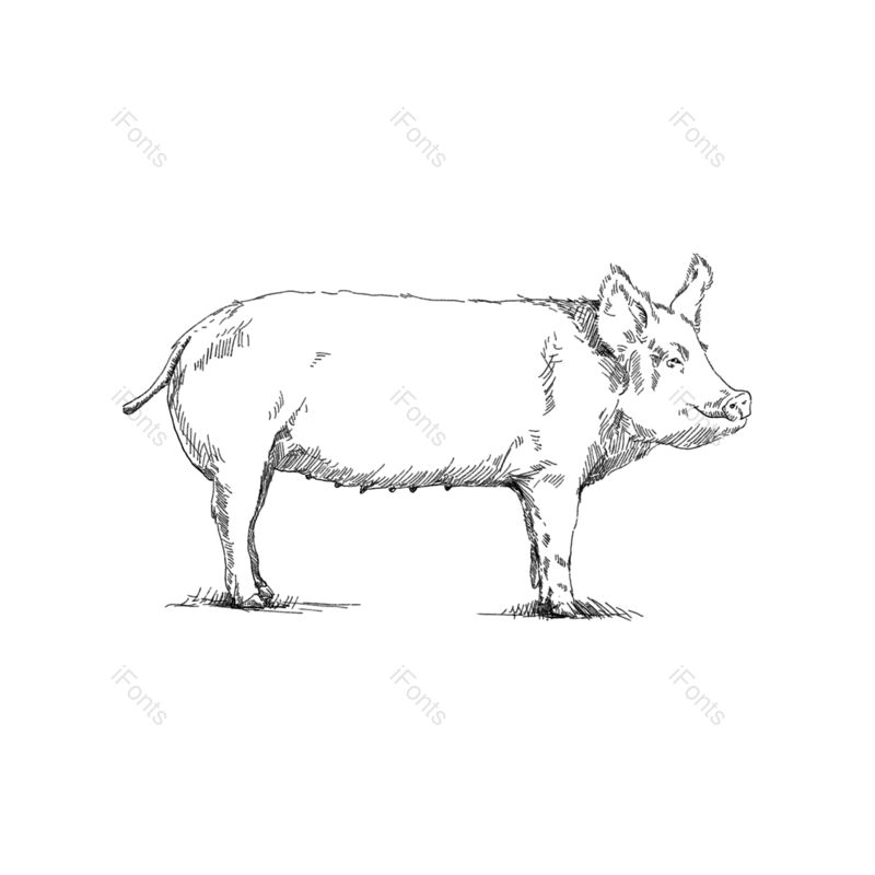 元素图片,黑色元素,动物PNG,线描免抠素材
