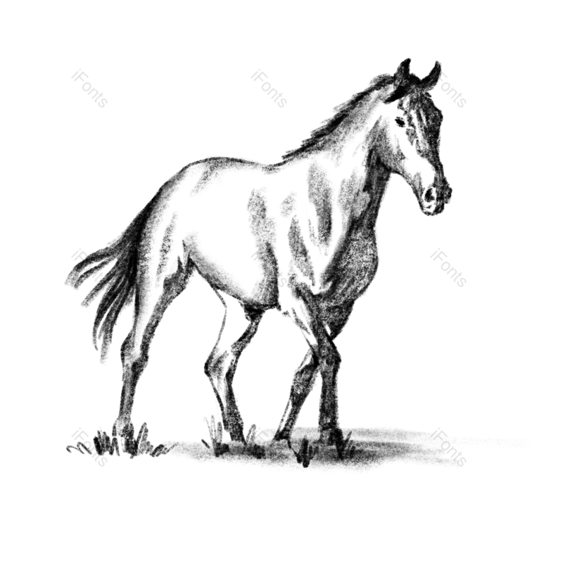 动物图片,手绘元素,素描PNG,免抠素材