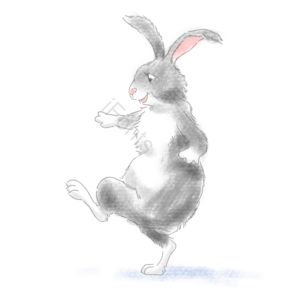 卡通 灰色 兔子 可爱 插画 黑白 扁平 手绘