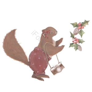 松鼠 相机 植物 可爱 卡通 动物 插画 手绘