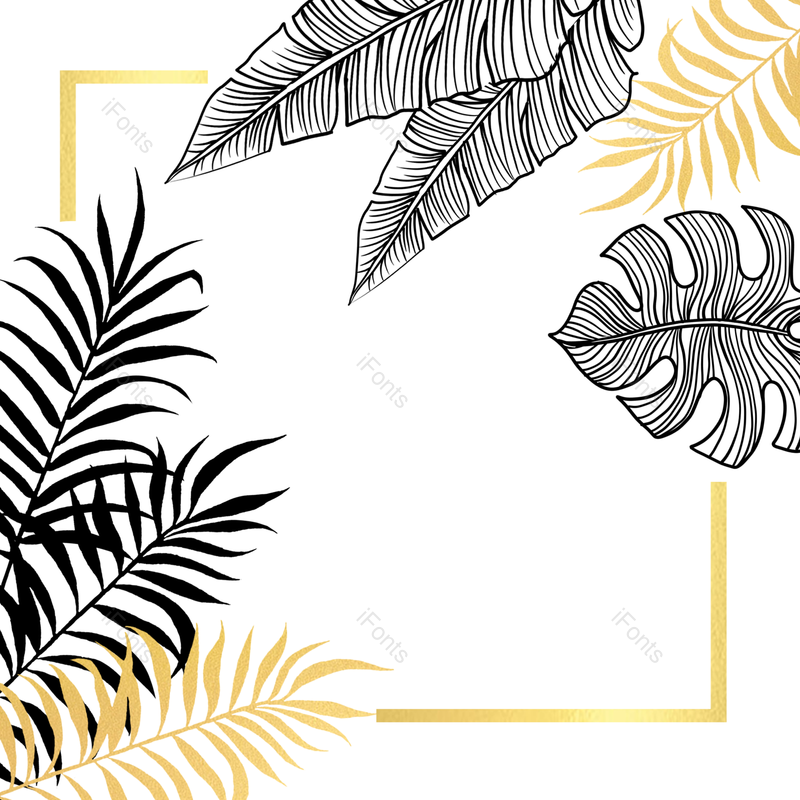 花环图片,丛林元素,文本框PNG,黑色免抠素材