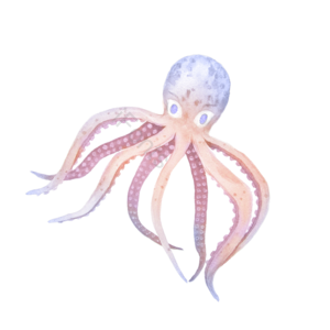 章宇 海洋 粉色 蓝色 卡通 水彩 插画 手绘