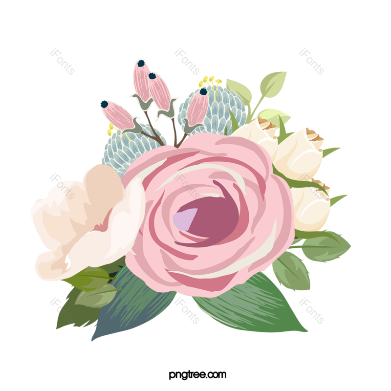 叶子图片,插画元素,玫瑰PNG,花卉免抠素材