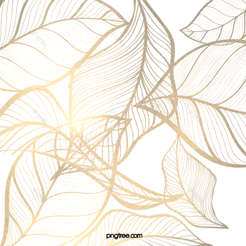 叶子图片,元素元素,秋天PNG,插画免抠素材