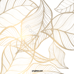 金色 叶子 植物 黄色 奢华 树叶 元素 插画