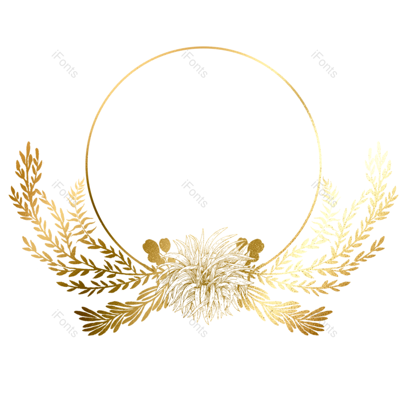 元素图片,秋天元素,植物PNG,金色免抠素材