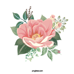 花 鲜花 花朵 花卉 植物 春天 清新 春季