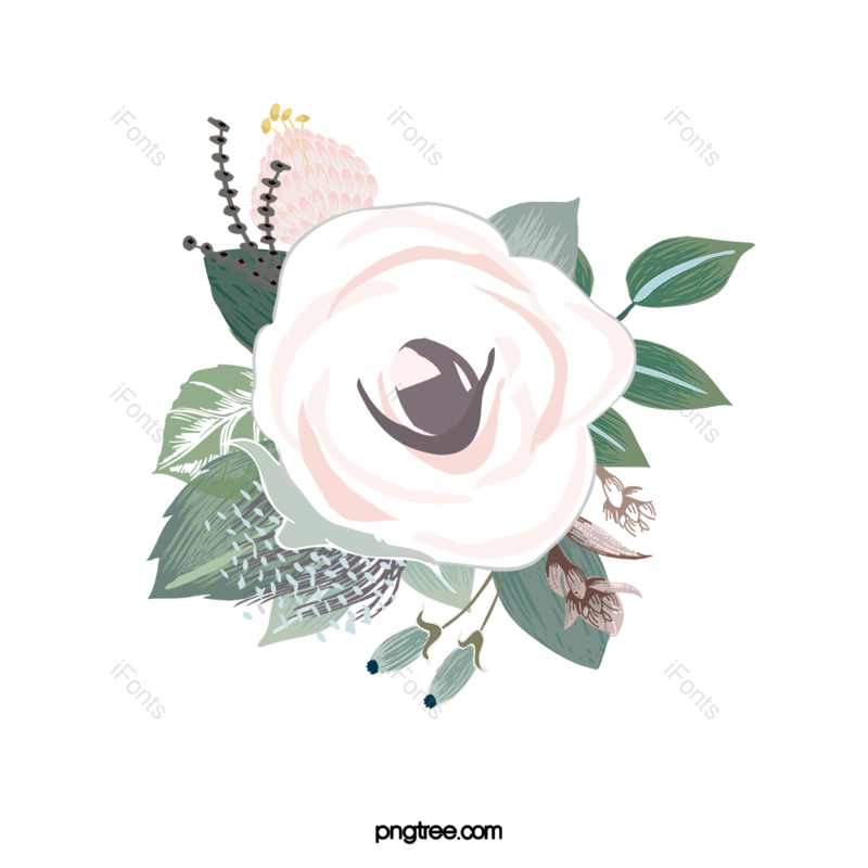 叶子图片,插画元素,花卉PNG,花朵免抠素材