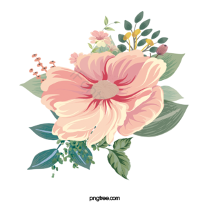 鲜花 花朵 花卉 淡雅 花蕊 叶子 花苞 黄色