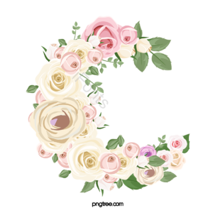 花礼 花丛花卉植物 花环 叶 蕊 芽 优雅而安静 花呗