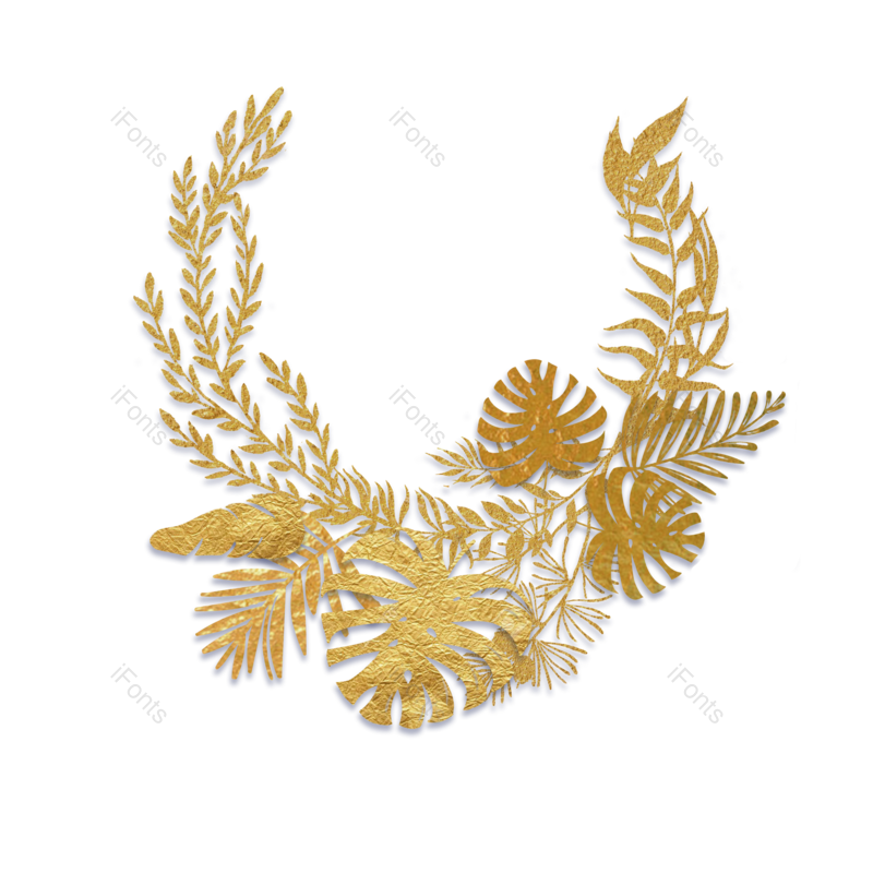秋天图片,婚礼边框元素,植物PNG,金色免抠素材