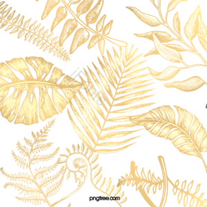 白色 黄色 金色 叶子 植物 插画 落叶 金箔