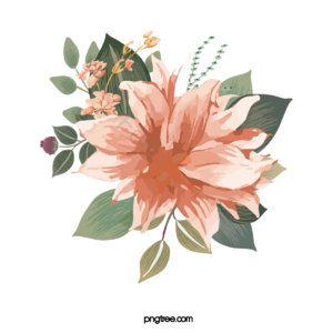 叶子 花蕊 鲜花 花朵 花卉 淡雅 手绘 插画