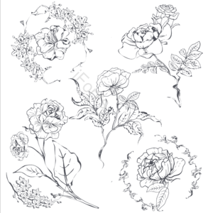 花卉 花丛 叶子 叶子 手绘 元素 线条 草图