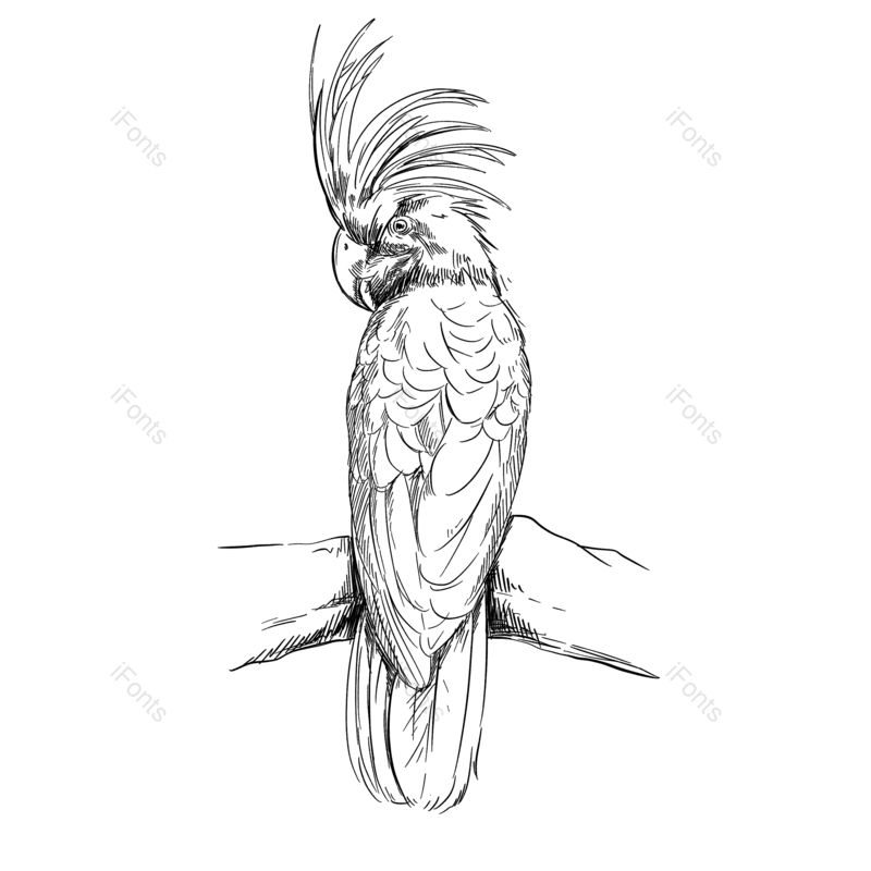线条图片,元素元素,插画PNG,动物免抠素材