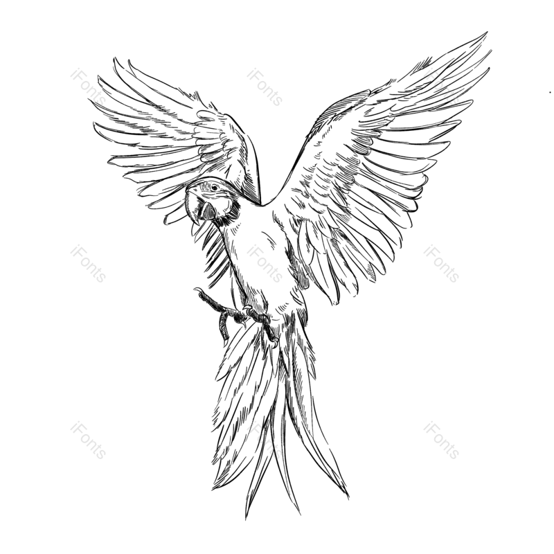 线条图片,插画元素,动物PNG,手绘免抠素材