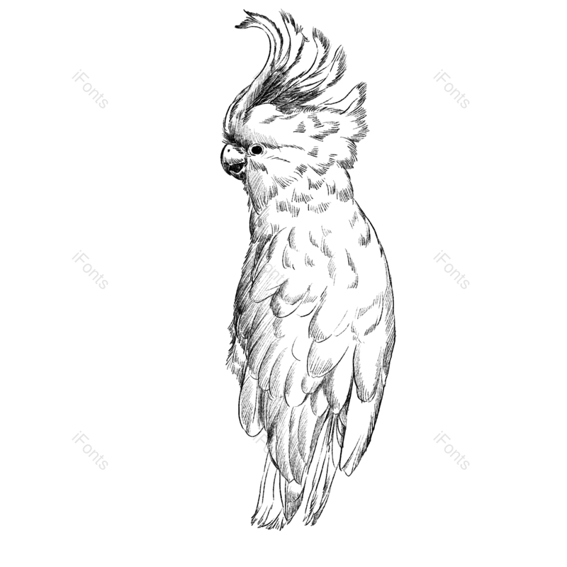 元素图片,插画元素,动物PNG,手绘免抠素材