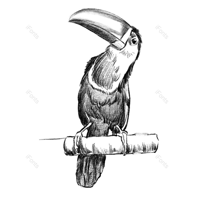 插画图片,元素,PNG,免抠素材
