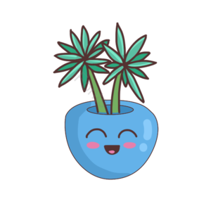 叶子 春天 植物 套图 花草 简约 清新 素材