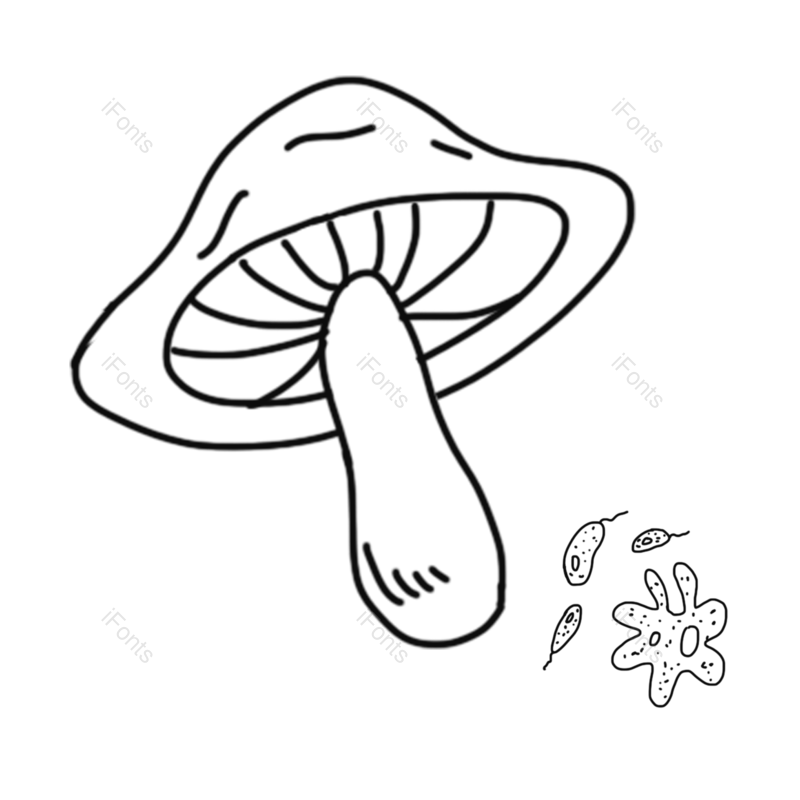蔬菜图片,动画片元素,蘑菇PNG,植物免抠素材