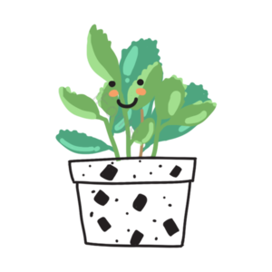 叶子 春天 植物 套图 花草 简约 清新 素材
