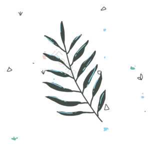 叶子 春天 植物 套图 花草 简约 清新 素材