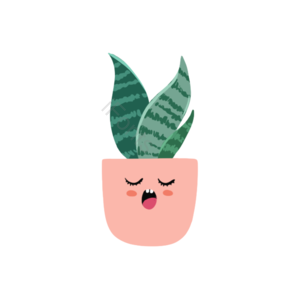 可爱 卡通 绿植 盆栽