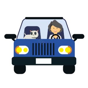 户外 猫咪 开车 旅游 汽车 车轮 卡通 手绘