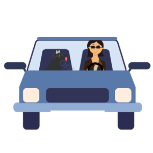 车轮 旅游 卡通 手绘 车灯 户外 开车 汽车