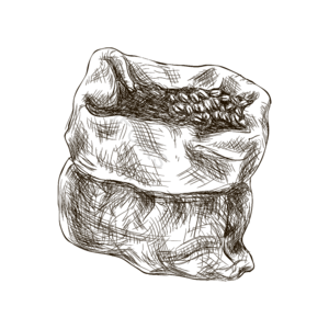 手绘 黑白 咖啡 线描 咖啡豆 插画 元素