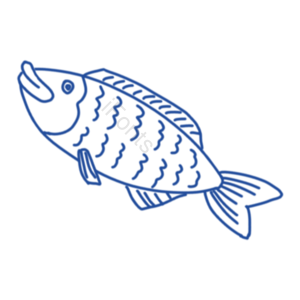 手绘 蓝色 细胞 生物学 鱼 生物 化学 简笔画