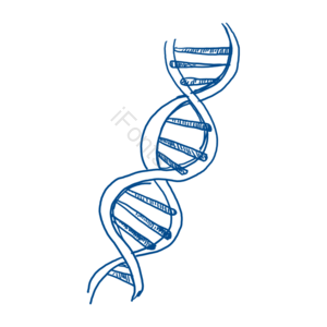 手绘 蓝色 细胞 生物学 生物 化学 基因 简笔画